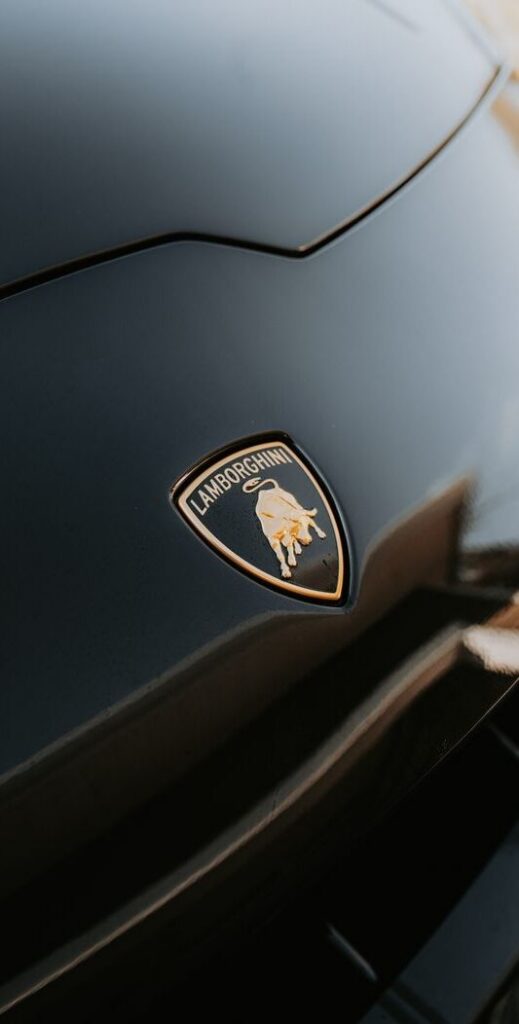 Close-up of a Lamborghini emblem on a sleek black car hood, showcasing luxury and style.